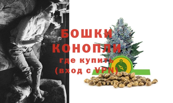 гидра Белоозёрский