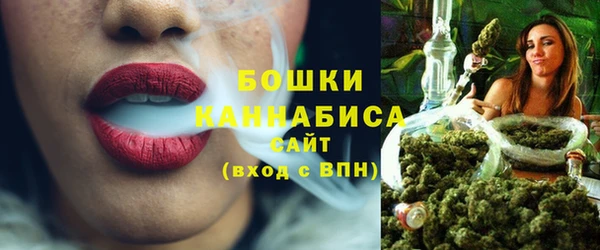 гидра Белоозёрский